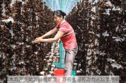 延寿黑木耳产业助力脱贫攻坚，万名贫困劳动力人均年增收2万元